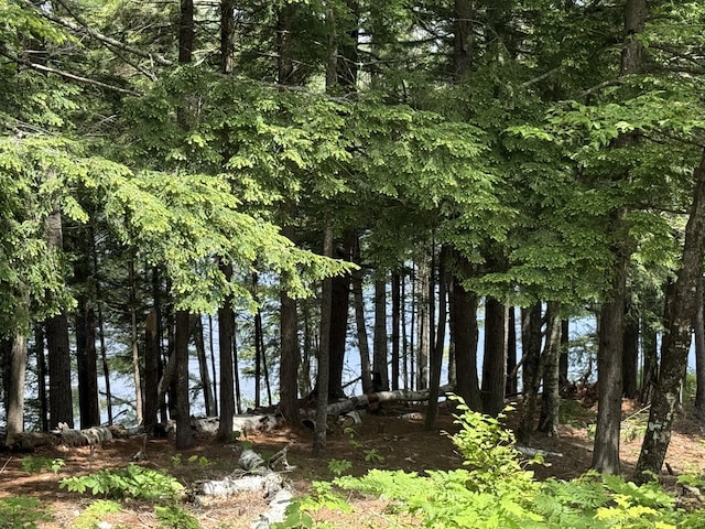 14 Quiet Way, Liberty, ME 04949 - photo 31