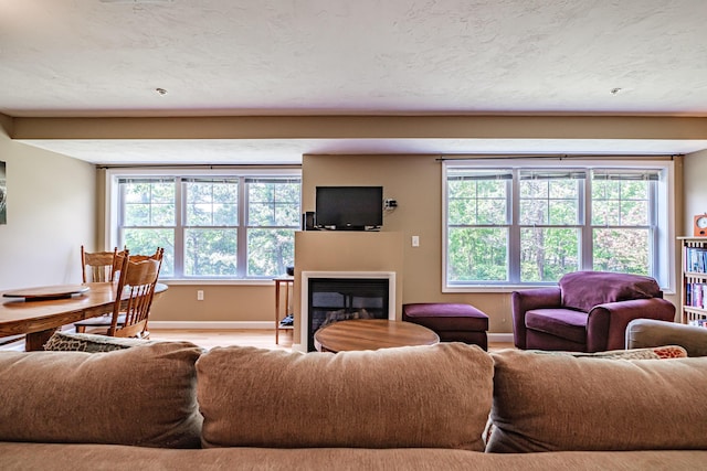 170 E Grand Ave Unit 1, Old Orchard Beach, ME 04064 - living area featuring baseboards and a glass covered fireplace