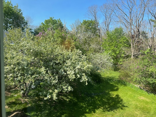 2 Lookout Point Rd, Bar Harbor, ME 04609 - view of local wilderness