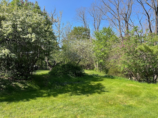 2 Lookout Point Rd, Bar Harbor, ME 04609 - view of green lawn