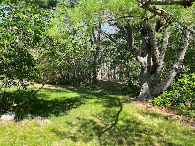 2 Lookout Point Rd, Bar Harbor, ME 04609 - view of grassy yard
