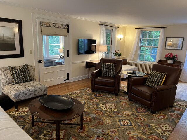 2 Lookout Point Rd, Bar Harbor, ME 04609 - living room featuring radiator, wood finished floors, plenty of natural light, and ornamental molding