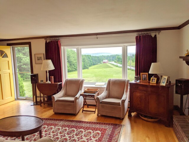 630 Youngs Ridge Rd, Acton, ME 04001 - living area with wood finished floors and ornamental molding