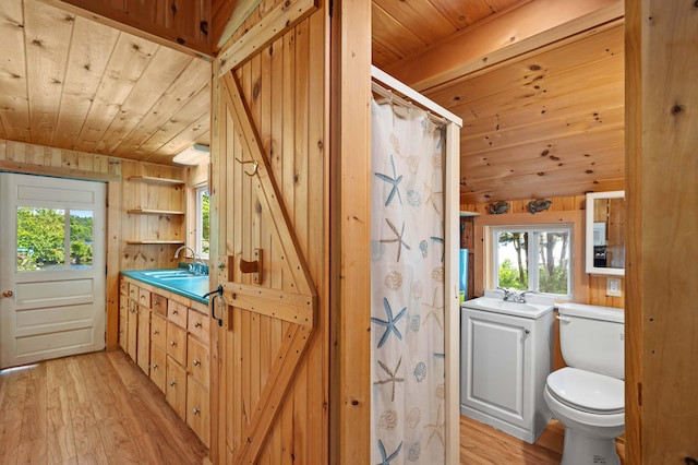 16 Maple Ridge Dr, Monmouth, ME 04259 - bathroom with wood ceiling, wood finished floors, vanity, plenty of natural light, and toilet