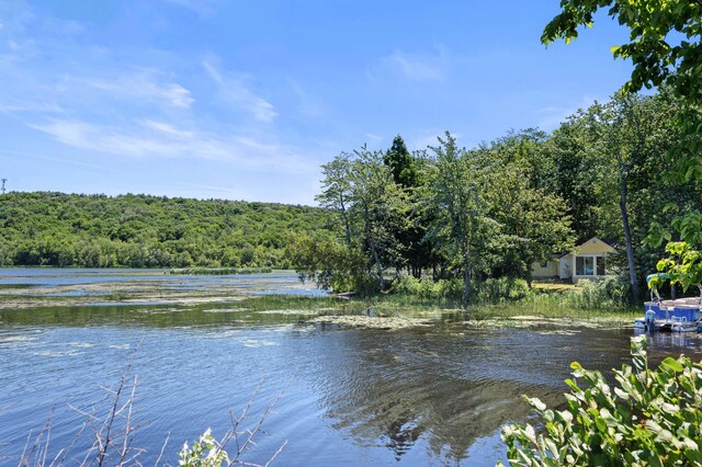 16 Maple Ridge Dr, Monmouth, ME 04259 - water view with a forest