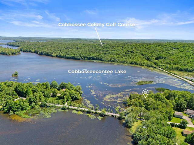 16 Maple Ridge Dr, Monmouth, ME 04259 - aerial view of a heavily wooded area and a nearby body of water