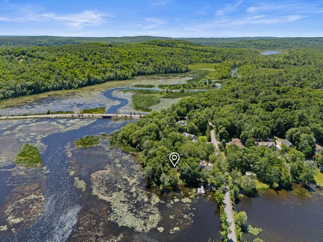 16 Maple Ridge Dr, Monmouth, ME 04259 - view of property location featuring a forest and a large body of water