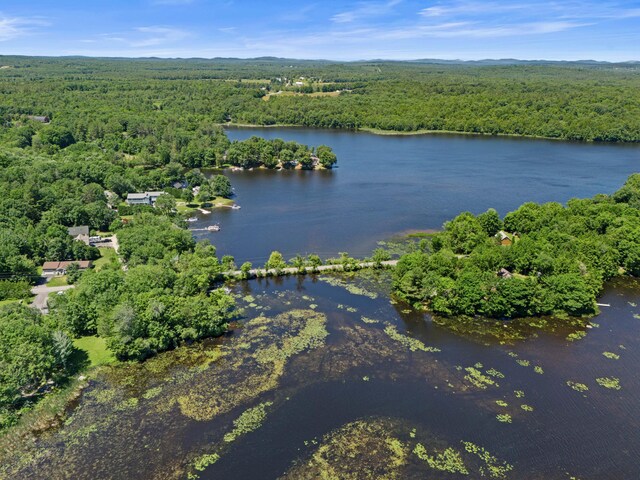 16 Maple Ridge Dr, Monmouth, ME 04259 - aerial overview of property's location with a heavily wooded area and a nearby body of water