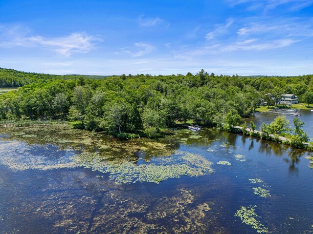16 Maple Ridge Dr, Monmouth, ME 04259 - water view with a heavily wooded area