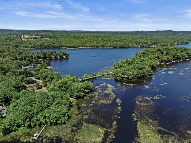 16 Maple Ridge Dr, Monmouth, ME 04259 - aerial view of a forest and a nearby body of water