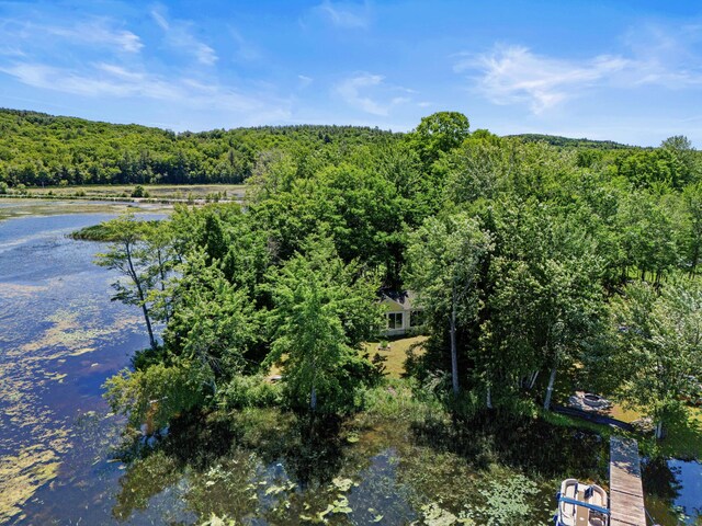 16 Maple Ridge Dr, Monmouth, ME 04259 - aerial view of property and surrounding area featuring a forest and a nearby body of water