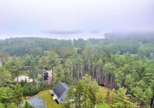 41 White Deer Cir, Bar Harbor, ME 04609 - photo 5