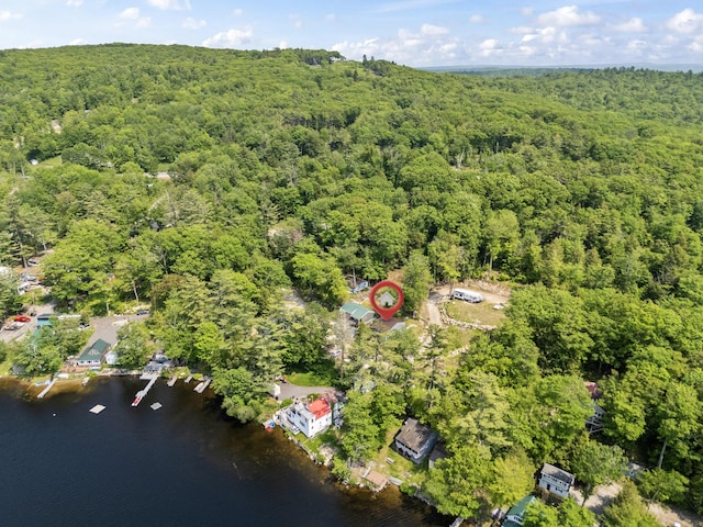 48 E Shore Dr, Greene, ME 04236 - bird's eye view of a heavily wooded area and a large body of water