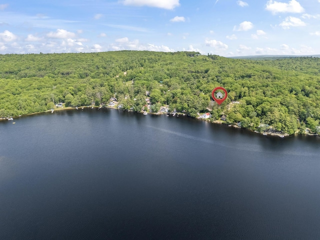 48 E Shore Dr, Greene, ME 04236 - aerial view of a heavily wooded area and a large body of water