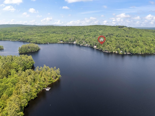 48 E Shore Dr, Greene, ME 04236 - drone / aerial view of a forest and a large body of water