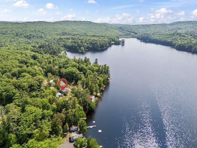 48 E Shore Dr, Greene, ME 04236 - drone / aerial view of a heavily wooded area and a large body of water