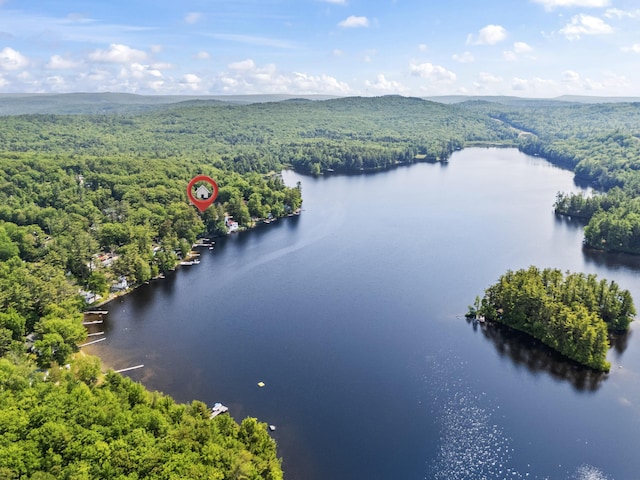 48 E Shore Dr, Greene, ME 04236 - aerial view of a forest and a nearby body of water