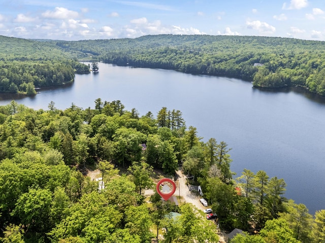 48 E Shore Dr, Greene, ME 04236 - aerial view of a forest and a nearby body of water