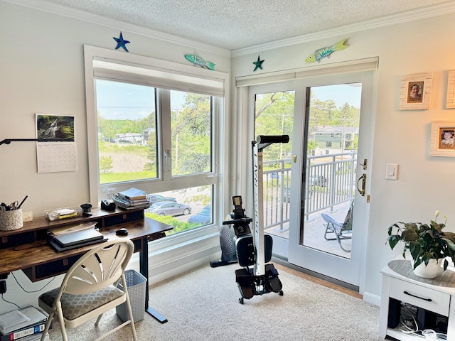 219 E Grand Ave Unit 3C, Old Orchard Beach, ME 04064 - workout room with ornamental molding, a textured ceiling, and carpet floors