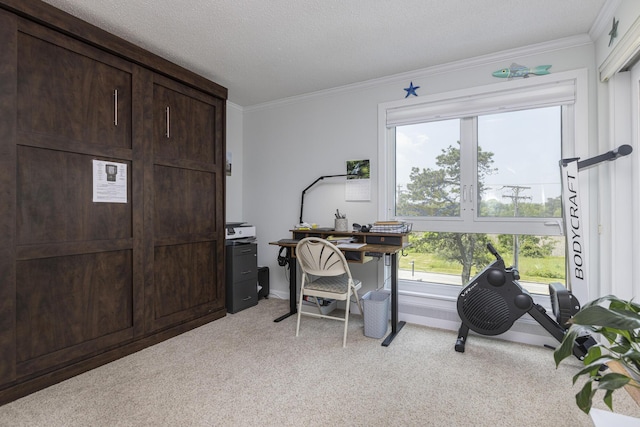 219 E Grand Ave Unit 3C, Old Orchard Beach, ME 04064 - home office with light carpet, healthy amount of natural light, and crown molding