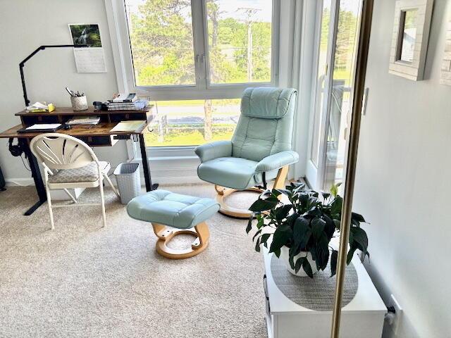 219 E Grand Ave Unit 3C, Old Orchard Beach, ME 04064 - home office with carpet floors