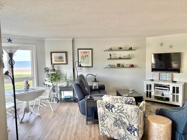 219 E Grand Ave Unit 3C, Old Orchard Beach, ME 04064 - living area featuring a textured ceiling, wood finished floors, and crown molding