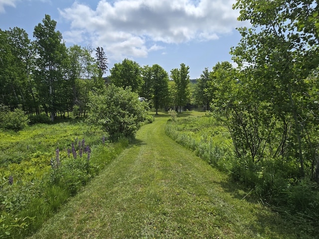 224 Maynard Rd Unit T1 R1, Nbkp, ME 04478 - view of yard