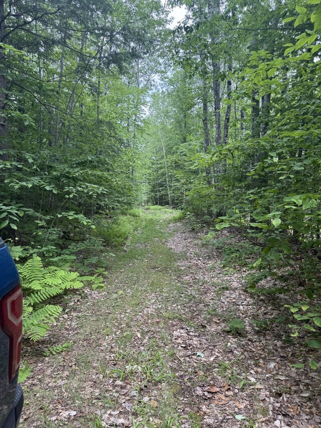 047-025 Cardinal Dr, Embden, ME 04958 - photo 17