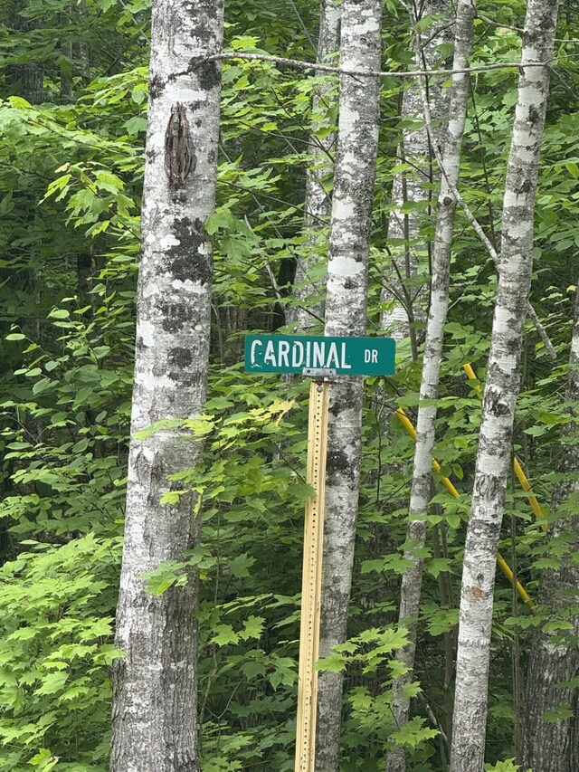 047-025 Cardinal Dr, Embden, ME 04958 - photo 18