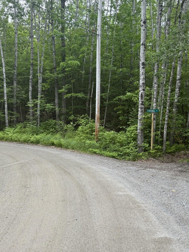 047-025 Cardinal Dr, Embden, ME 04958 - photo 19