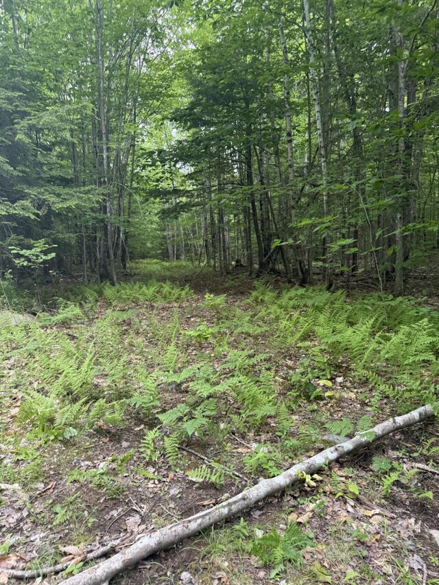 047-025 Cardinal Dr, Embden, ME 04958 - photo 22