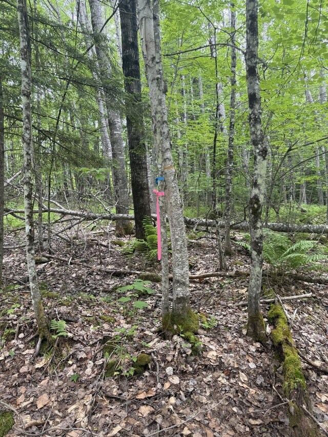 047-025 Cardinal Dr, Embden, ME 04958 - photo 23