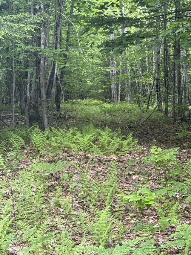 047-025 Cardinal Dr, Embden, ME 04958 - photo 24
