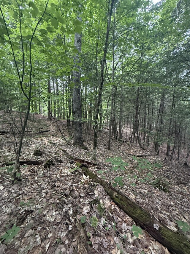 047-025 Cardinal Dr, Embden, ME 04958 - photo 26