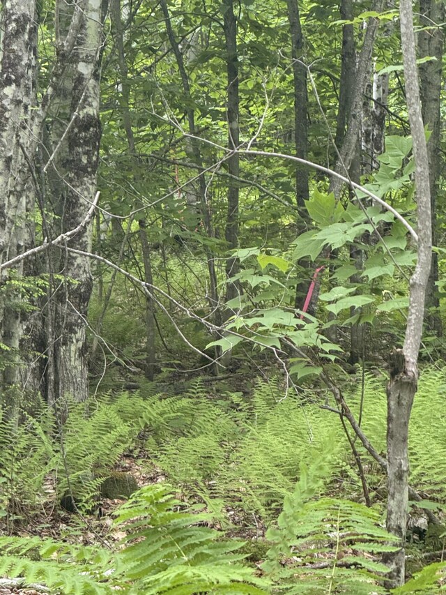 047-025 Cardinal Dr, Embden, ME 04958 - photo 28