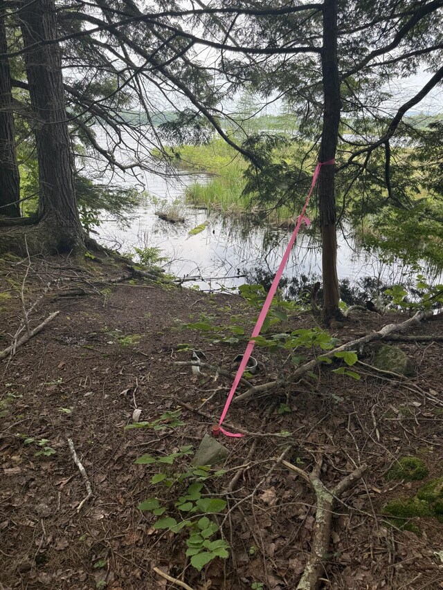 047-025 Cardinal Dr, Embden, ME 04958 - photo 4