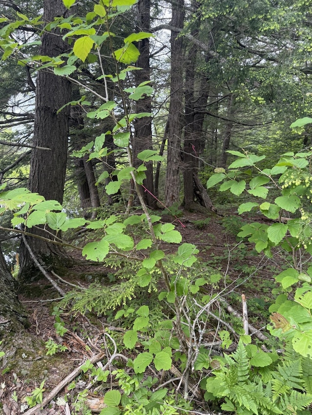 047-025 Cardinal Dr, Embden, ME 04958 - photo 30