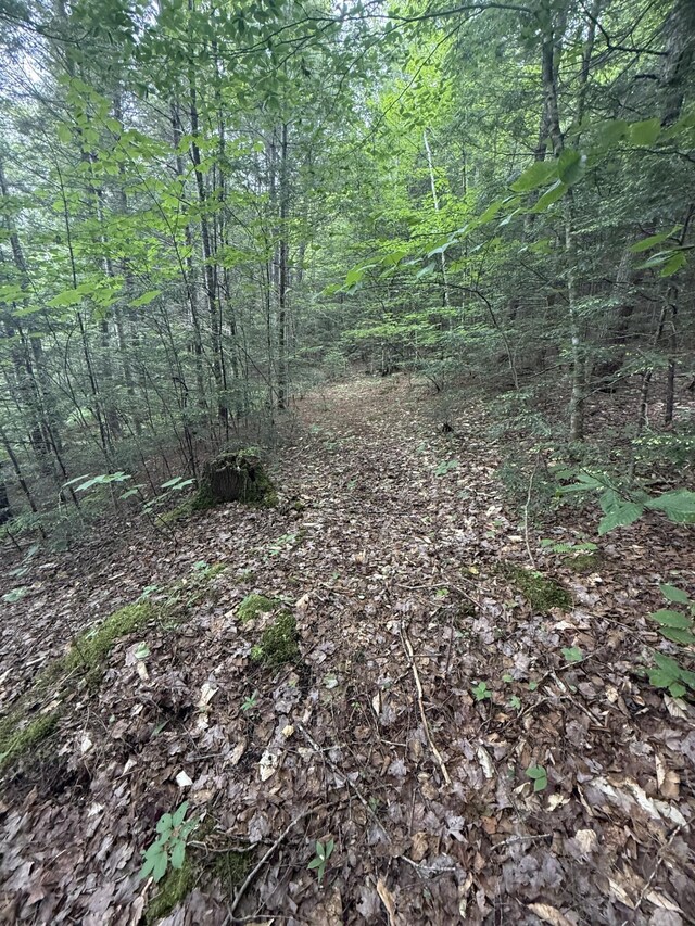 047-025 Cardinal Dr, Embden, ME 04958 - photo 31