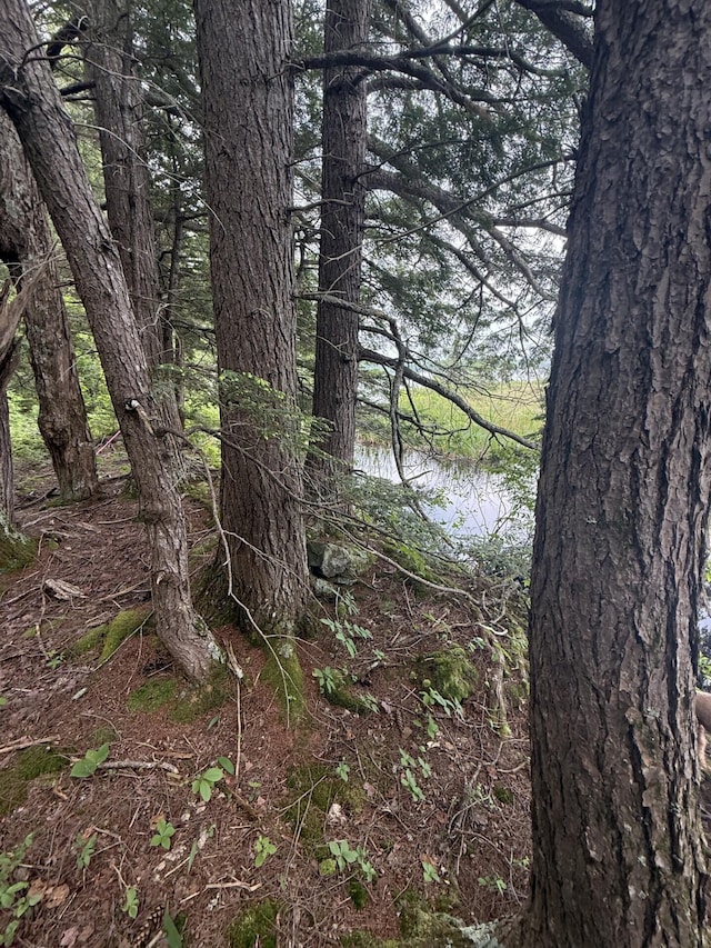 047-025 Cardinal Dr, Embden, ME 04958 - photo 9