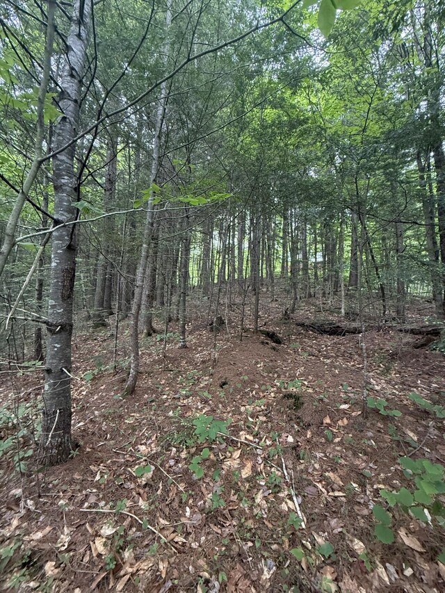 047-025 Cardinal Dr, Embden, ME 04958 - photo 33