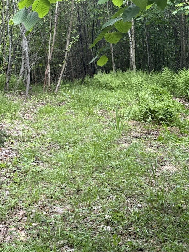 047-025 Cardinal Dr, Embden, ME 04958 - photo 34