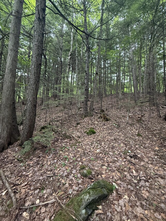 047-025 Cardinal Dr, Embden, ME 04958 - photo 35