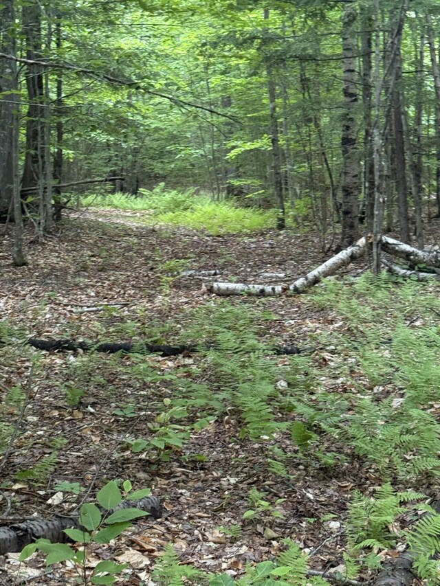 047-025 Cardinal Dr, Embden, ME 04958 - photo 37