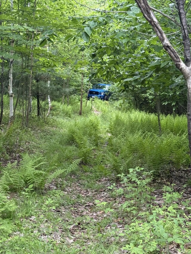 047-025 Cardinal Dr, Embden, ME 04958 - photo 38