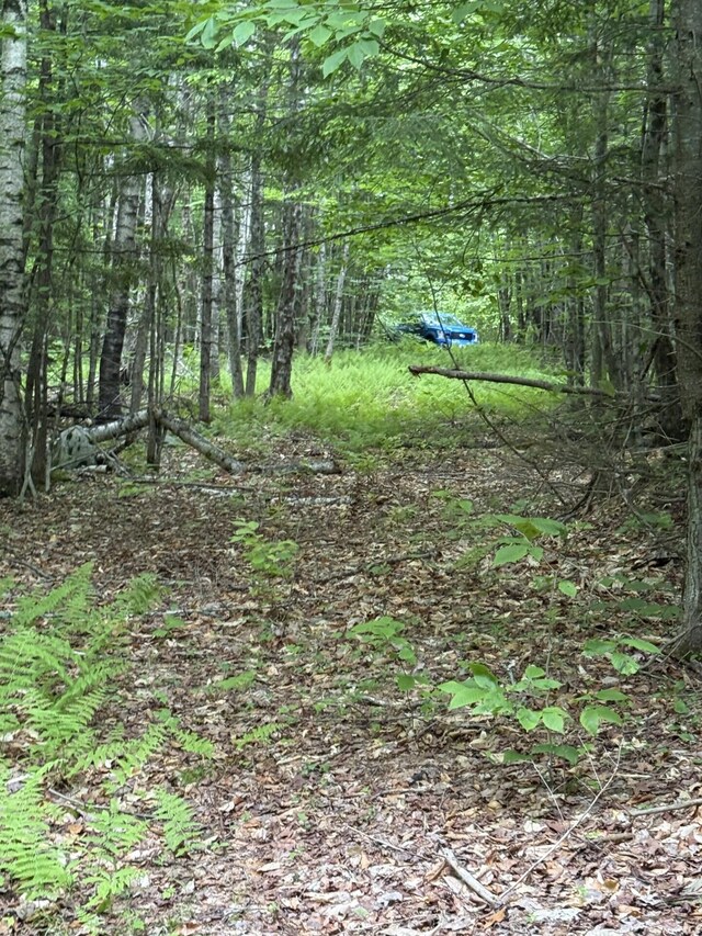 047-025 Cardinal Dr, Embden, ME 04958 - photo 41