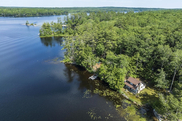 36 Cove Ln, Damariscotta, ME 04543 - aerial overview of property's location with a forest and a large body of water