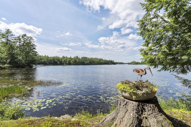 36 Cove Ln, Damariscotta, ME 04543 - water view