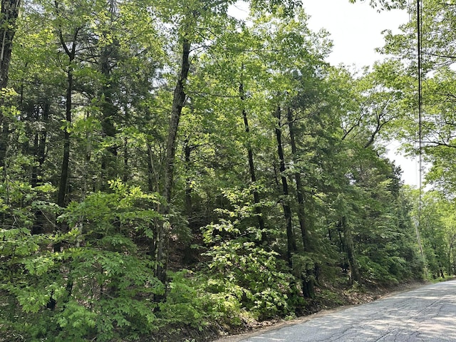 LOT20 Dyke Mountain Rd, Sebago, ME 04029