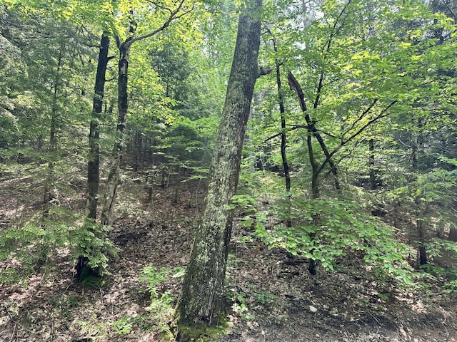 LOT20 Dyke Mountain Rd, Sebago, ME 04029