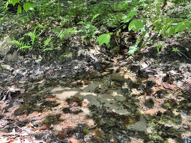 LOT20 Dyke Mountain Rd, Sebago, ME 04029